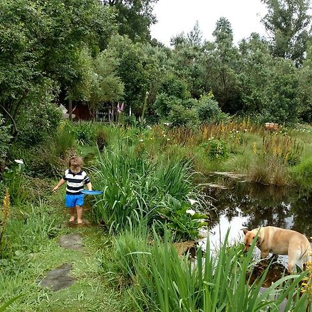 Boutique Vintage Forest Cabin Stormsrivier Eksteriør billede