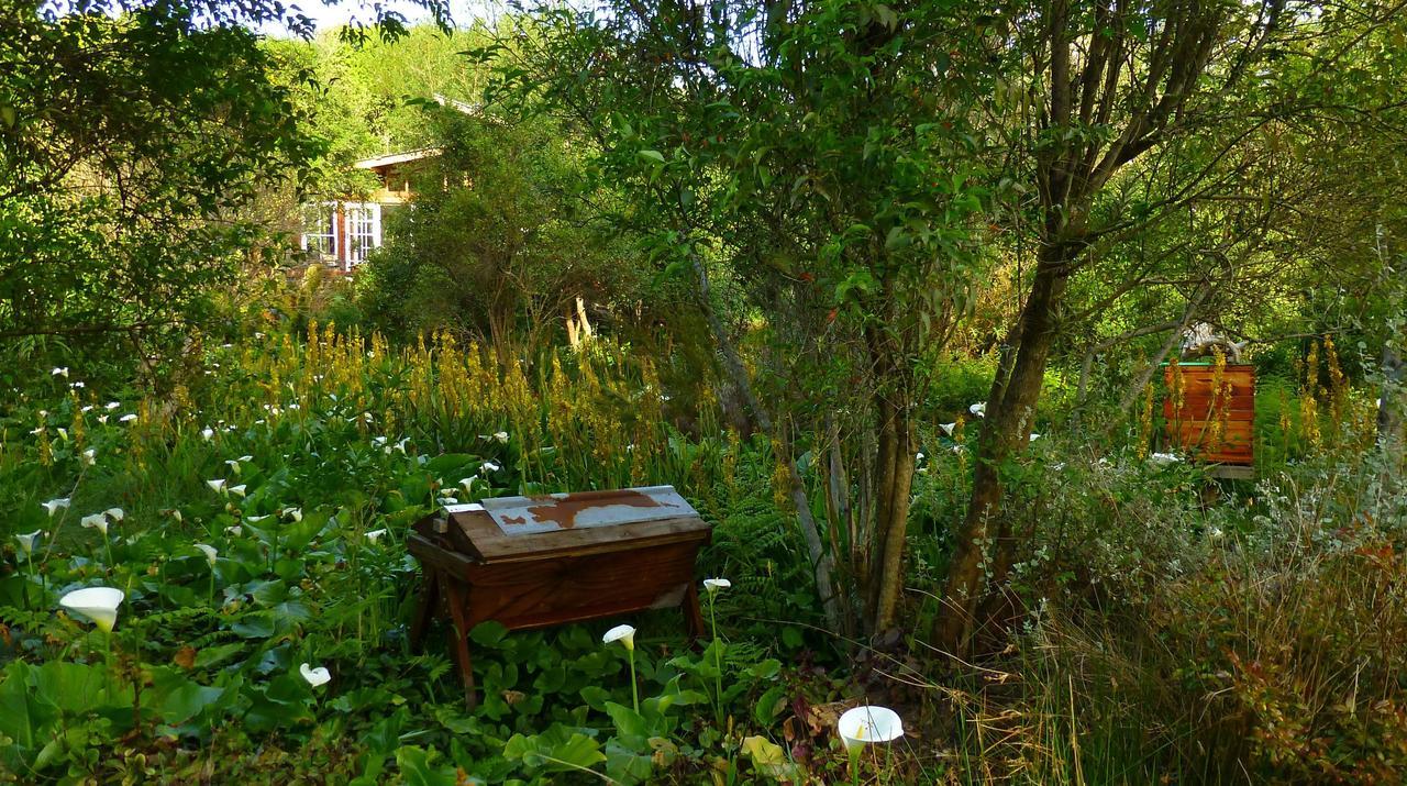 Boutique Vintage Forest Cabin Stormsrivier Eksteriør billede