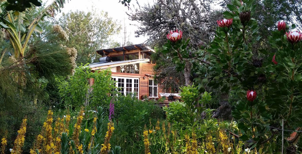 Boutique Vintage Forest Cabin Stormsrivier Eksteriør billede