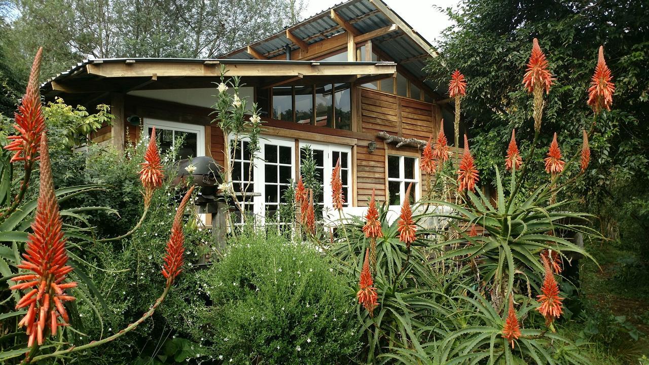 Boutique Vintage Forest Cabin Stormsrivier Eksteriør billede